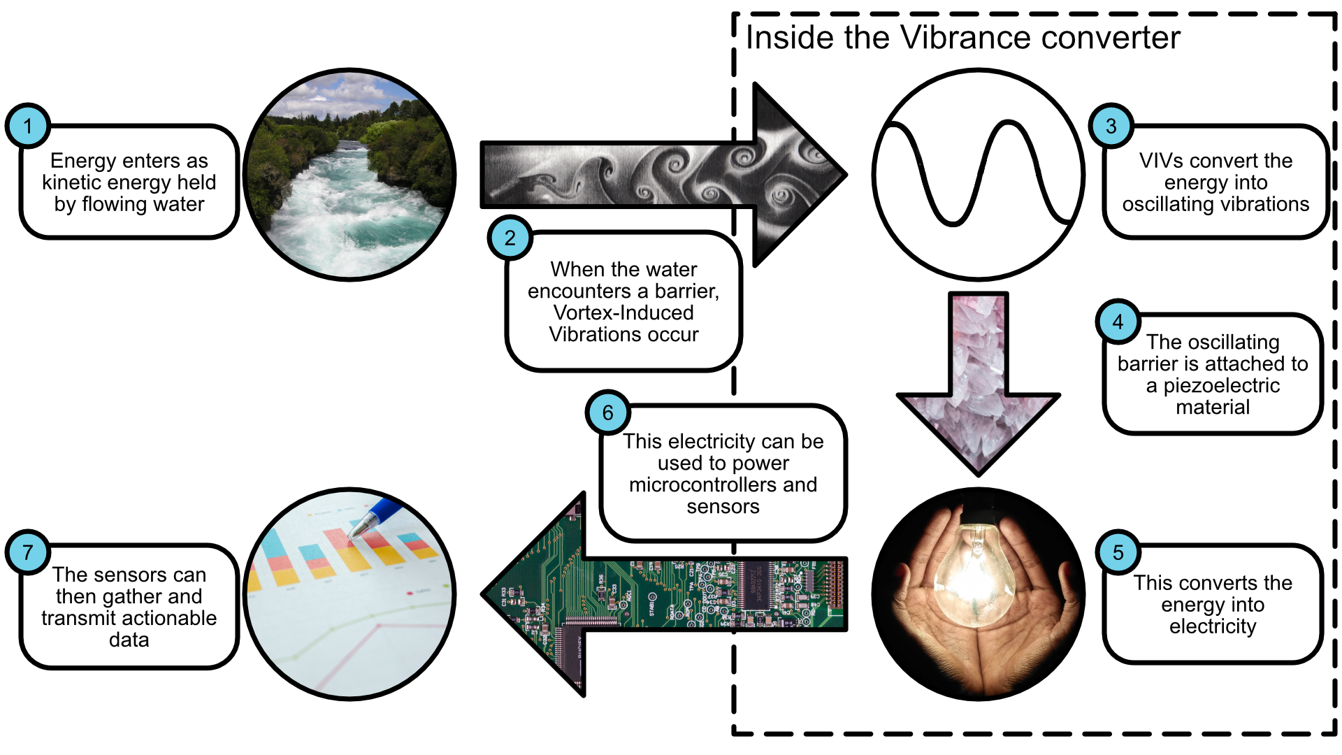 Overview diagram of the Vibrance converter. Energy enters as kinetic energy held by flowing water. When the water encounters a barrier, vortex-induced vibrations occur. VIVs convert the energy into oscillating vibrations. The oscillating barrier is attached to a piezoelectric material. This converts the energy into electricity. This electricity can be used to power microcontrollers and sensors. The sensors can then gather and transmit actionable data.